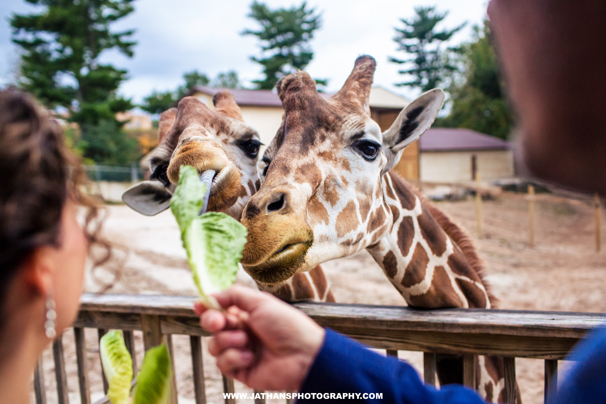 Intimate and Beautiful Elmwood Park Zoo Wedding Norristown Wedding Photographer