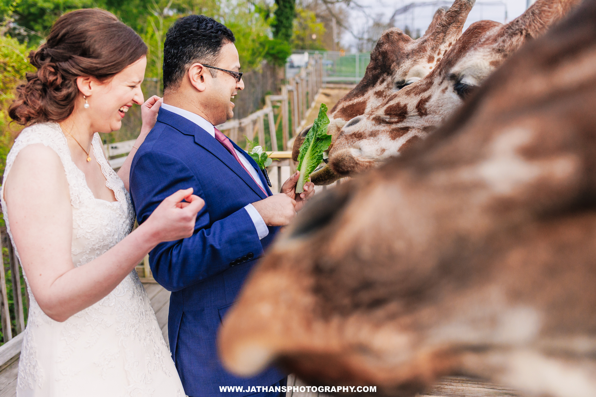 Beautiful Elmwood Park Zoo Wedding Photography Elmwood Wedding Photographer