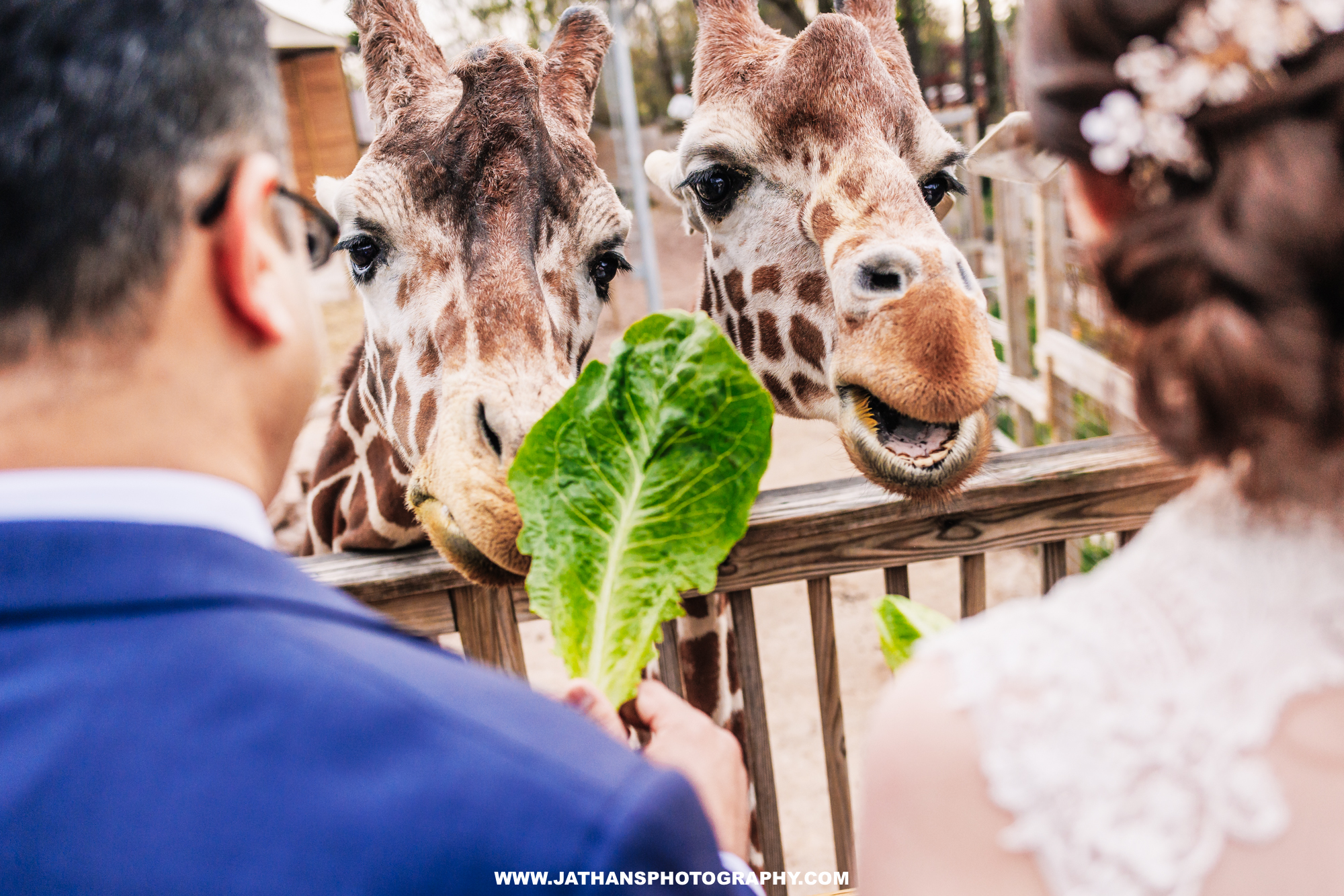 Beautiful Elmwood Park Zoo Wedding Photography Elmwood Wedding Photographer