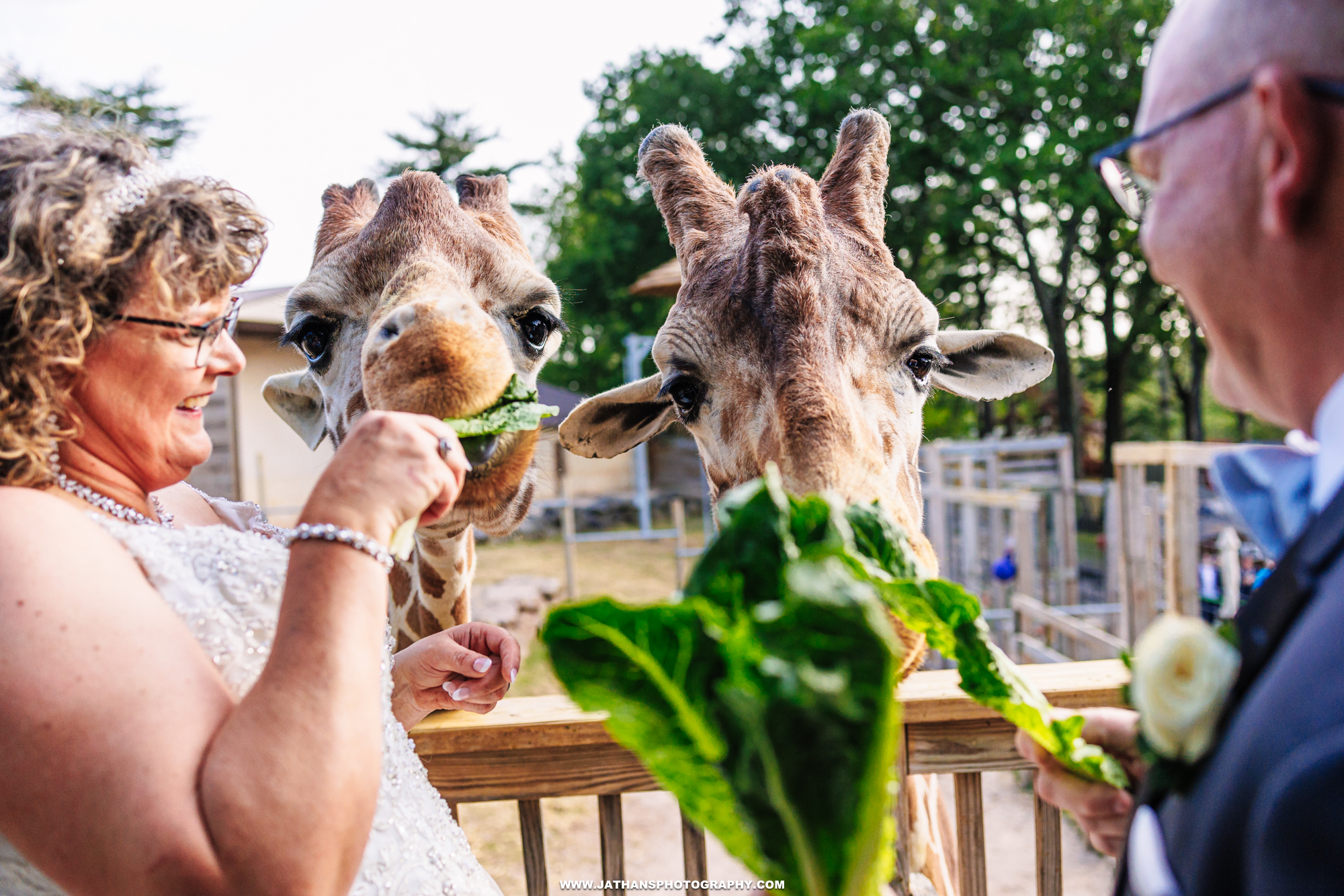 Beautiful Elmswood Park Zoo Wedding Outdoors Philadelphia Bride and Groom Fun Wedding