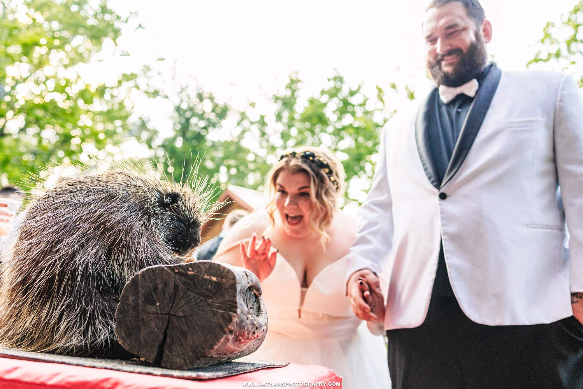 Beautiful Elmwood Park Zoo Wedding Near Philadelphia Photography