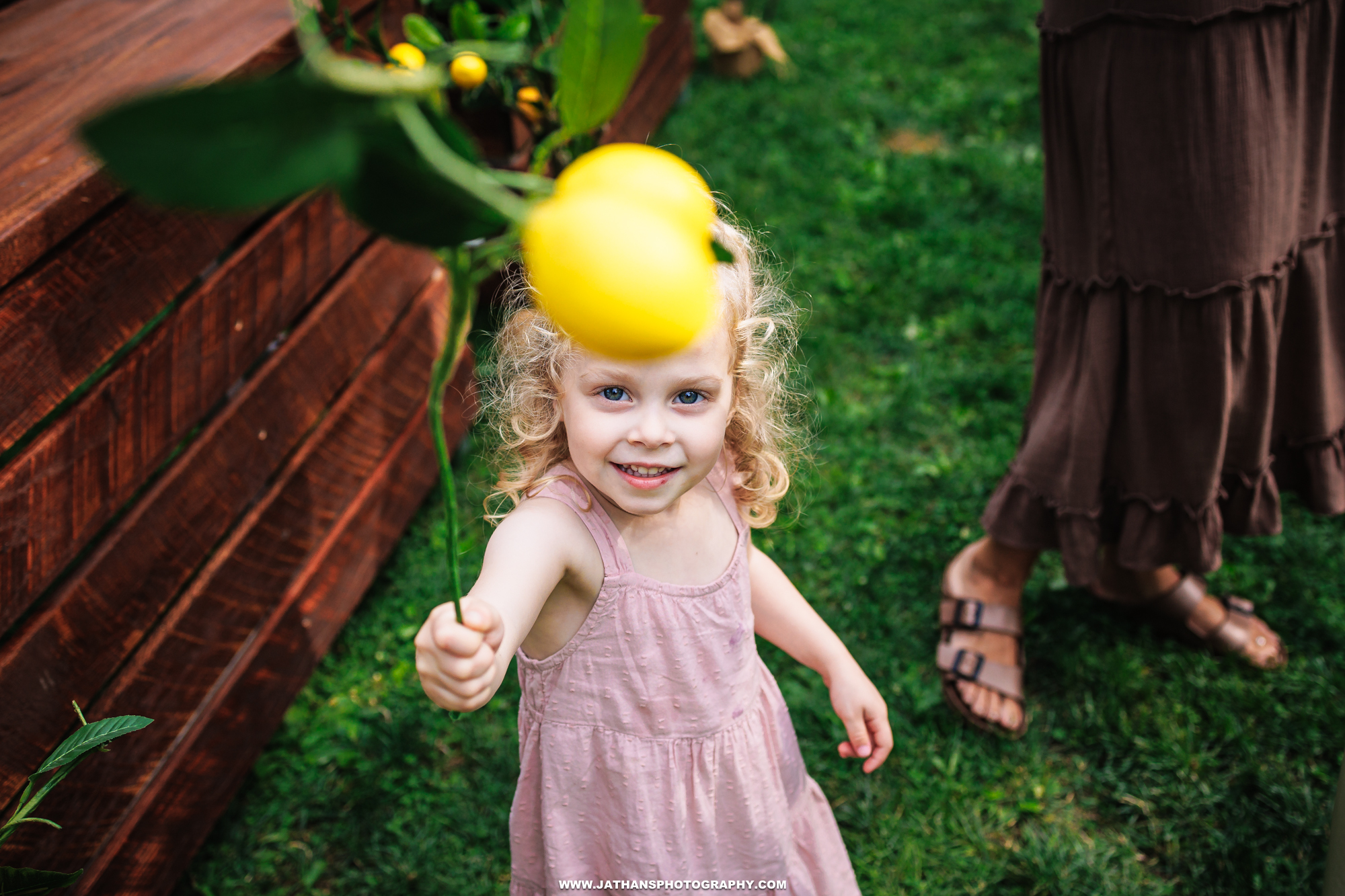 Beautiful Rustic Backyard Music Wedding Boyertown, PA Wedding Outdoors Concert Wedding