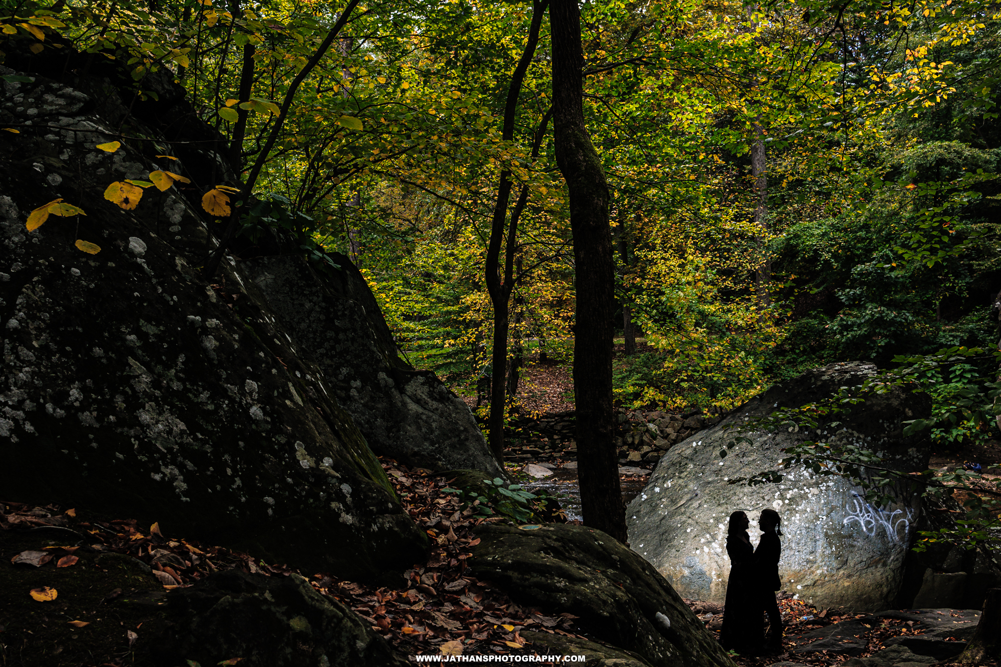 Gorgeous Outside Engagement Session In Washington DC Rock Creek Park