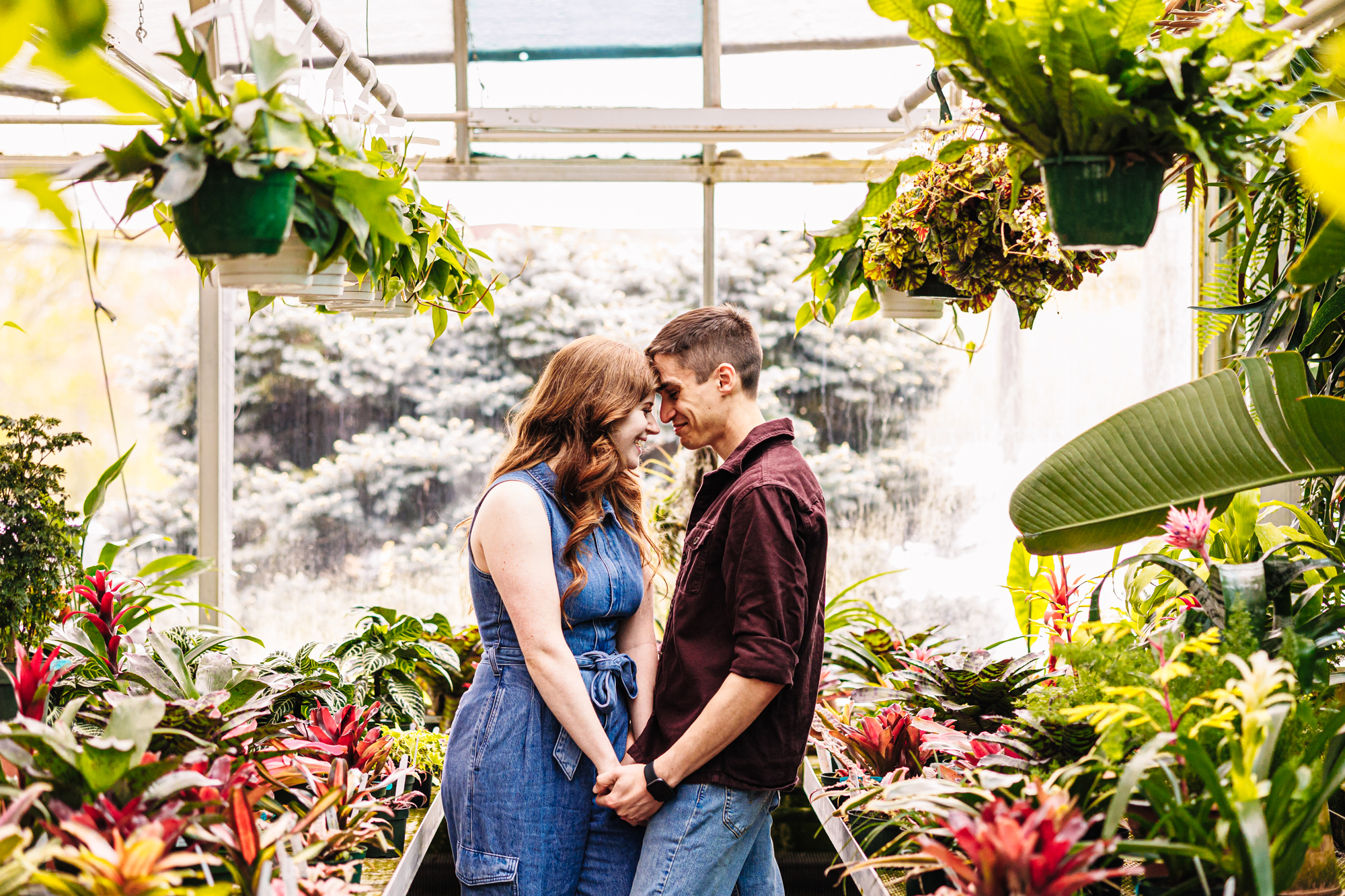 Amazing Oats Exotic Plants Engagement Session Indoor Plant World