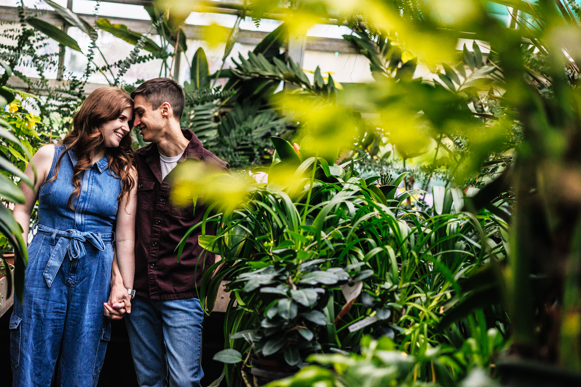 Amazing Oats Exotic Plants Engagement Session Indoor Plant World