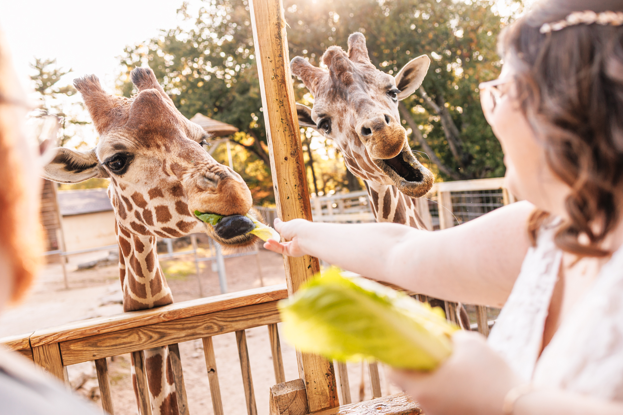 Amazing and Fun Elmwood Park Zoo Wedding Photography Norristown PA Wedding