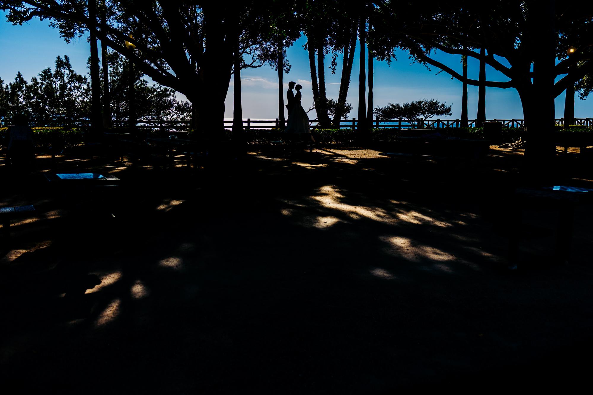 Beautiful Santa Monic Bay Women's Club Wedding In Los Angeles California Sunshine
